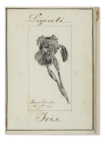 (BOTANICAL.) Latouche, Leonie. Album of botanical drawings.